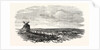 The Crimean War: The Siege of Sebastopol: Camp of the Siege Train (General Sir J. Burgoyne) at Sebastopol 1854 by Anonymous