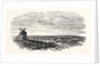 The Crimean War: The Siege of Sebastopol: Camp of the Siege Train (General Sir J. Burgoyne) at Sebastopol 1854 by Anonymous