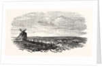 The Crimean War: The Siege of Sebastopol: Camp of the Siege Train (General Sir J. Burgoyne) at Sebastopol 1854 by Anonymous