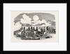 The Crimean War: Bombardment of Sebastopol. General Sir De Lacy Evans and Staff 1854 by Anonymous