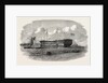 Hospital Ship Near the Seraglio at Constantinople Istanbul 1854 by Anonymous