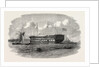 Hospital Ship Near the Seraglio at Constantinople Istanbul 1854 by Anonymous