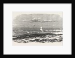 The Crimean War: Sebastopol During the Siege General View 1854 by Anonymous