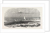 The Crimean War: Sebastopol During the Siege General View 1854 by Anonymous