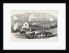 The Crimean War: Ruined Cottage Off Sebastopol 1854 by Anonymous