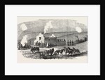 The Crimean War: Ruined Cottage Off Sebastopol 1854 by Anonymous