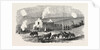 The Crimean War: Ruined Cottage Off Sebastopol 1854 by Anonymous
