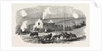 The Crimean War: Ruined Cottage Off Sebastopol 1854 by Anonymous