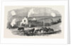 The Crimean War: Ruined Cottage Off Sebastopol 1854 by Anonymous