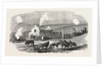 The Crimean War: Ruined Cottage Off Sebastopol 1854 by Anonymous