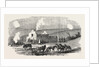 The Crimean War: Ruined Cottage Off Sebastopol 1854 by Anonymous