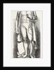 Marble Statue of the Late Sir Robert Peel (Noble Sculptor) Placed in St. George's Hall Liverpool 1854 UK by Anonymous