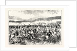 The Crimean War: The Action at Balaclava: Charge of the Scots Greys October 25 1854 by Anonymous
