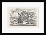 Matacong on the West Coast of Africa the Pier and Warehouses 1854 by Anonymous