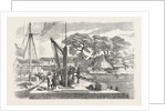 Matacong on the West Coast of Africa the Pier and Warehouses 1854 by Anonymous