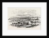 The Crimean War: French Troops Landing at Cape Chersonese 1854 by Anonymous