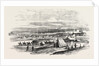 The Crimean War: French Troops Landing at Cape Chersonese 1854 by Anonymous