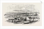 The Crimean War: French Troops Landing at Cape Chersonese 1854 by Anonymous