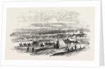 The Crimean War: French Troops Landing at Cape Chersonese 1854 by Anonymous
