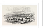 The Crimean War: French Troops Landing at Cape Chersonese 1854 by Anonymous