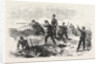 The Crimean War: The Siege of Sebastopol the Rifles in the Trenches 1854 by Anonymous