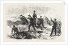 The Crimean War: The Siege of Sebastopol the Rifles in the Trenches 1854 by Anonymous