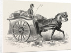 Patent Military Foraging-Cart 1854 by Anonymous