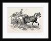 Patent Military Foraging-Cart 1854 by Anonymous