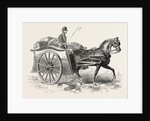 Patent Military Foraging-Cart 1854 by Anonymous