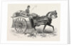 Patent Military Foraging-Cart 1854 by Anonymous