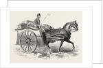 Patent Military Foraging-Cart 1854 by Anonymous