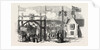 Entrance to Hawkstone Park 1854 by Anonymous