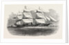The Crimean War: The Screw Steamship Prince Wrecked Off Balaclava Harbour 1854 by Anonymous