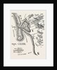 The Crimean War: Plan of Petropaulovski 1854 by Anonymous