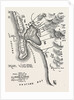 The Crimean War: Plan of Petropaulovski 1854 by Anonymous