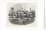 Departure of the Ex-Governor from Freetown Sierra Leone 1854 by Anonymous