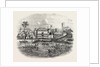 Departure of the Ex-Governor from Freetown Sierra Leone 1854 by Anonymous