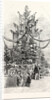 Gigantic Christmas Tree at the Crystal Palace Sydenham UK 1854 by Anonymous