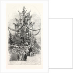 Gigantic Christmas Tree at the Crystal Palace Sydenham UK 1854 by Anonymous