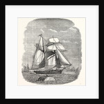 Spanish Vessel Arriving with Christmas Fruit 1854 by Anonymous