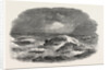 Wreck of the Troop-Ship Charlotte in Algoa Bay 1854 by Anonymous