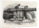 Gun and Mortar from Bomarsund at the Crystal Palace 1854 by Anonymous