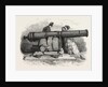 Gun and Mortar from Bomarsund at the Crystal Palace 1854 by Anonymous