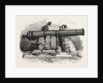 Gun and Mortar from Bomarsund at the Crystal Palace 1854 by Anonymous