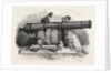 Gun and Mortar from Bomarsund at the Crystal Palace 1854 by Anonymous