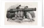 Gun and Mortar from Bomarsund at the Crystal Palace 1854 by Anonymous