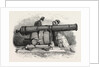 Gun and Mortar from Bomarsund at the Crystal Palace 1854 by Anonymous