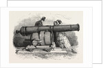 Gun and Mortar from Bomarsund at the Crystal Palace 1854 by Anonymous