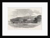 The Four-Paddle-Wheel Danube Steamer Tachtalia. 1854 by Anonymous