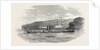 The Four-Paddle-Wheel Danube Steamer Tachtalia. 1854 by Anonymous